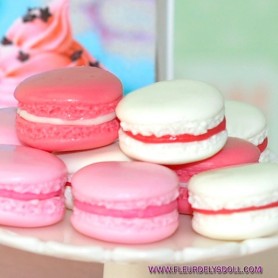 2 MACARONS MINIATURE 1/6 SCALE BARBIE FASHION ROYALTY BLYTHE PULLIP SYBARITE TONNER FICON BJD DIORAMA DOLLHOUSE