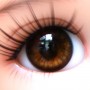 OVAL REAL ASIAN BROWN 18 mm GLASS EYES FOR DOLL BJD BALL JOINTED DOLL MY MEADOWS SAFFI BAILEY