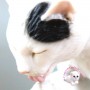 BEAUTIFUL CAT JAPANESE ARTIST DOLL MINIATURE BARBIE STODOLL OB11 LATI YELLOW PUKIFEE BJD BLYTHE PULLIP DOLLHOUSE DIORAMA
