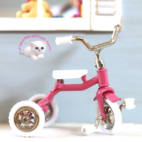 Vélo miniature tricycle