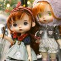 LOVELY COQUELICOT DOLL 20 CM FULLY ARTICULATED + OUTFITS IN BOX HOLALA DOLL SIZE