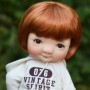 PERRUQUE DOLL WIG BOB MIXTE CARROT 8.9 POUPÉE BJD MEADOWDOLLS PULLIP KAYE WIGGS WICHTEL MIDDIE BLYTHE