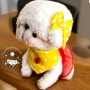 PELUCHE AMOUR D'ARTISTE CHIEN KAWAII MINIATURE BARBIE STODOLL OB11 AMYDOLL LATI YELLOW PUKIFEE BLYTHE PULLIP DOLLHOUSE DIORAMA
