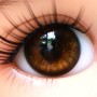 YEUX EN VERRE OVAL REAL BROWN 8 mm GLASS EYES POUPÉE BJD MY MEADOW LATI WHITE BEAR REBORN DOLLMORE IPLEHOUSE DOLLS