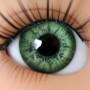 YEUX EN VERRE OVAL REAL VERT OLIVE 8 mm GLASS EYES POUPÉE BJD MY MEADOW LATI WHITE BEAR REBORN DOLLMORE IPLEHOUSE DOLLS