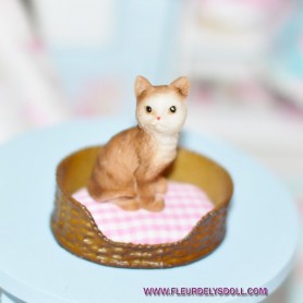 ADORABLE CHAT MINIATURE BARBIE FASHION ROYALTY LATI YELLOW PUKIFEE BJD BLYTHE PULLIP DOLLHOUSE DIORAMA